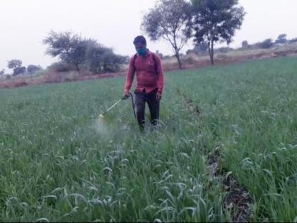 Almost spraying of drugs in the farmer class | शेतकरी वर्गात औषधे फवारणीची लगबग