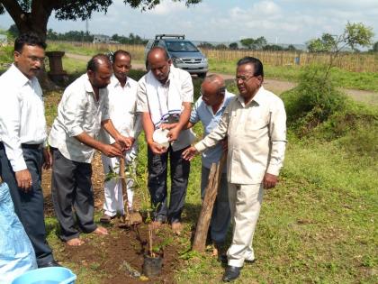 Seedlings of natural antiquity giving rubbish to ritualistic karmic | कर्मकांडाला मूठमाती देत निसर्गपूरक अंत्यविधीचे बीजारोपण