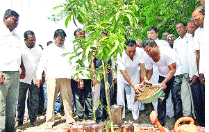 Immersion of Nanasaheb's defense by planting Yelloor mangoes | येलूरला आंब्याचे झाड लावून नानासाहेबांच्या रक्षा विसर्जित