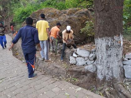 Various works from labor work in Trimbakeshwar's Brahmagiri | त्र्यंबकेश्वरच्या ब्रह्मगिरीवर श्रमदानातून विविध कामे