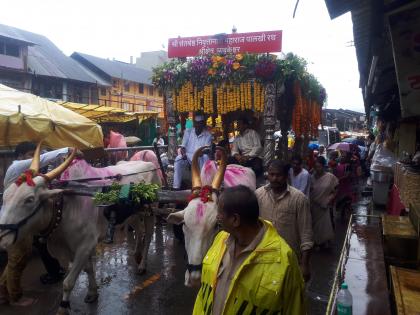 Arrival of Sant Nivruttinath Palkhi | संत निवृत्तीनाथ पालखीचे स्वगृही आगमन