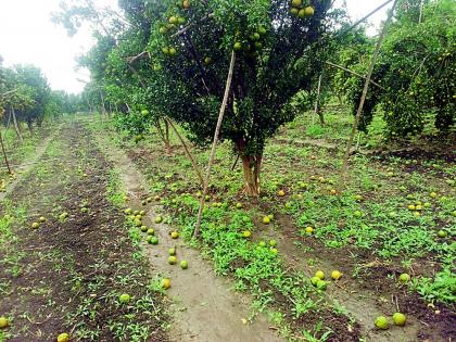 Harmed farmers on the streets | नुकसानग्रस्त शेतकरी रस्त्यावर