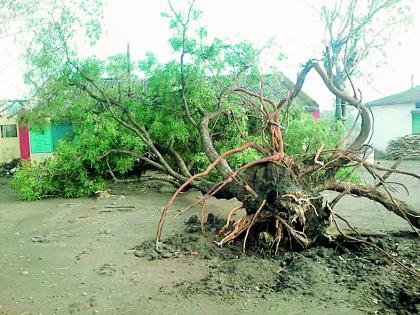 Hail storm | गारपिटीचा तडाखा