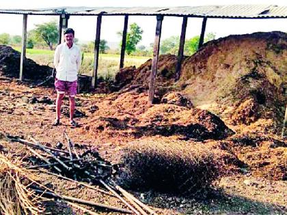 The entire cemetery in the fire caused by a short circuit | शॉर्ट सर्किटमुळे लागलेल्या आगीत संपूर्ण गोठा खाक