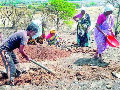 In the hands of citizens in the morning, spade, basket and shovel | भल्या पहाटेच नागरिकांच्या हातात कुदळ, टोपले व फावडे