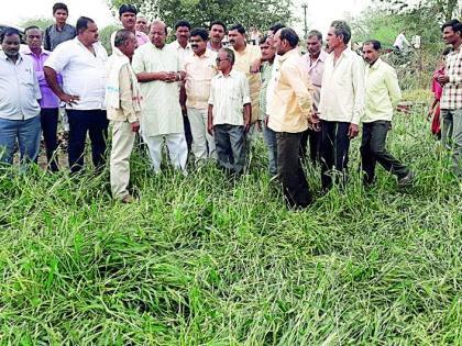 A hailstorm affected will not be deprived of help | गारपीटग्रस्त शेतकरी मदतीपासून वंचित राहणार नाही