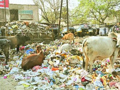 The waste situation in Aurangabad is out of control | औरंगाबाद मधील कचऱ्याची स्थिती नियंत्रणाबाहेर