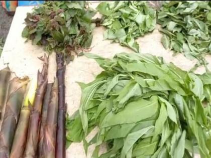 Vegetables with medicinal properties in the market of Chandrapur | औषधी गुणधर्म असलेल्या रानभाज्या चंद्रपूरच्या बाजारात