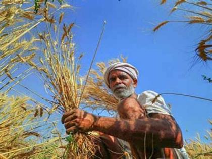 Tell PM ... How can farmers' incomes will double? | सांगा पीएम साहेब...! शेतकऱ्यांचे उत्पन्न दुप्पट कसे होणार?