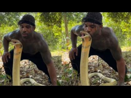 VIDEO : Man kisses deadly cobra on head watch viral video | खतरनाक! तरूणाने विषारी किंग कोब्राला केलं किस, व्हायरल झाला व्हिडीओ