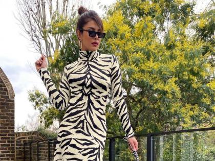 priyanka chopra shared a picture with her pet dog diana in same tiger print outfit | प्रियंका चोप्राच्या डॉगीचा थाट...! मॅचिंग कपड्यांत असे केले फोटोसेशन