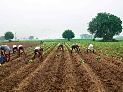 Farmers waiting for rain | ‘गाढव’ गेले रिकामे, ‘मेंढा’कडून अपेक्षा; आता भिस्त आर्द्रावर !