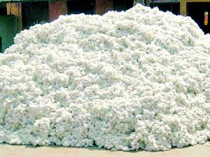 Should unregistered cotton be made into mattresses & cushions? | नोंदणी न झालेल्या कापसाच्या गाद्या, उशा कराव्या का?