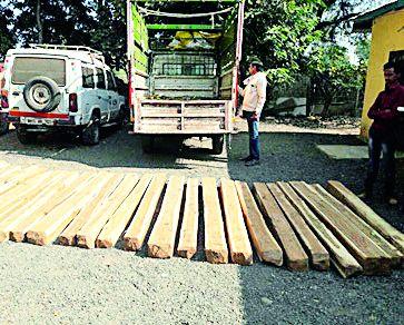 Smuggling of orangees | संत्र्यांच्या आड सागवान तस्करी