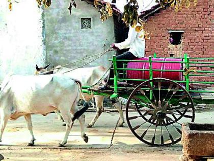 Drinking water from the field requires drinking | शेतातून आणावे लागते पिण्याचे पाणी