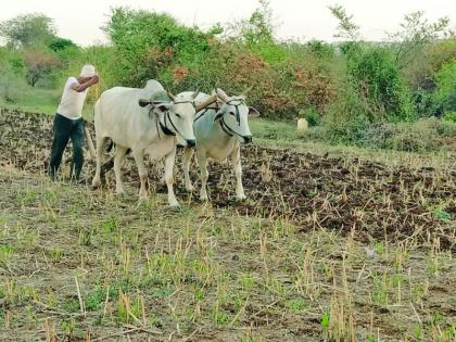 How to carry the burden of kharif? | खरीपाचा भार उचलणार तरी कसा? How to carry the burden of kharif? | खरीपाचा भार उचलणार तरी कसा?