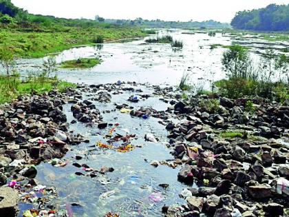 Ira river water pollution is polluted | इरई नदीचे जलस्त्रोत प्रदूषित