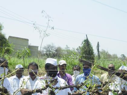  Premature damage to Dindori | दिंडोरीत अवकाळीने नुकसान