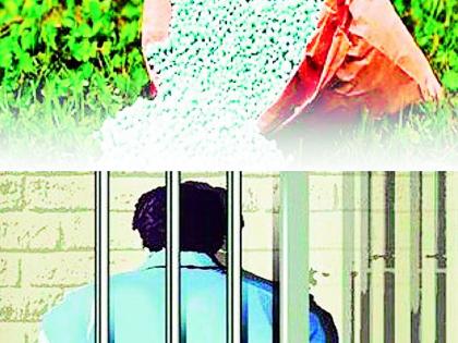 Beware if selling fake fertilizers, seeds; Action on 39 shops | बनावट खते, बियाणे विकाल तर खबरदार; 39 दुकानांवर कारवाई Beware if selling fake fertilizers, seeds; Action on 39 shops | बनावट खते, बियाणे विकाल तर खबरदार; 39 दुकानांवर कारवाई
