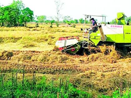 Harvesters thrive in harvesting and threshing | हार्वेस्टरमुळे कापणी व मळणी जोमात Harvesters thrive in harvesting and threshing | हार्वेस्टरमुळे कापणी व मळणी जोमात