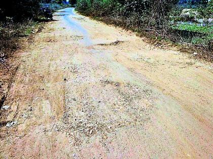 Road blocked in the dispute of the system | यंत्रणेच्या वादात रखडला रस्ता