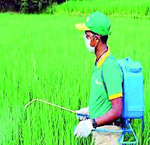 20 million turnover of pesticides | कीटकनाशकांची उलाढाल २० कोटींवर