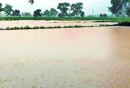 Hundreds of hectares of farmland underwater | शेकडो हेक्टर शेतजमीन पाण्याखाली