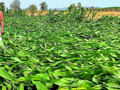 From 45 hours to 45 villages in 24 hours | २४ तासांपासून ४५ गावे अंधारात From 45 hours to 45 villages in 24 hours | २४ तासांपासून ४५ गावे अंधारात