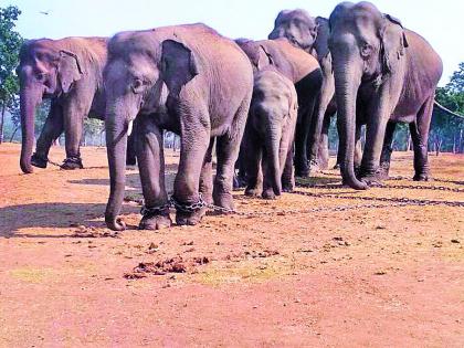 Will stop transfers - People's representatives will come back | स्थानांतर रोखणार - लोकप्रतिनिधी सरसावले Will stop transfers - People's representatives will come back | स्थानांतर रोखणार - लोकप्रतिनिधी सरसावले