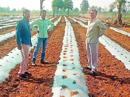 Progress of 444 groups to 5 crore 22 lakhs | ४४४ समूहांची ५ कोटी २२ लाखातून प्रगती