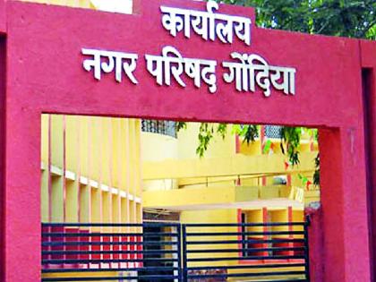 Lalita Yadav to lead the group | आघाडीच्या गटनेतापदी ललीता यादव