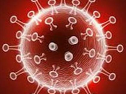 10 corona positive from Nandurbar | नंदुरबार: जेवणावळीतील कथित आचाऱ्याच्या कुटूंबातील पाचजण पॉझिटिव्ह 10 corona positive from Nandurbar | नंदुरबार: जेवणावळीतील कथित आचाऱ्याच्या कुटूंबातील पाचजण पॉझिटिव्ह