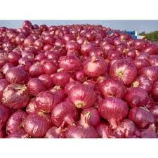 Red onion survives in Yeola | येवल्यात लाल कांदा आवक टिकून