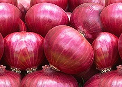 Angered by the ban on export of onion exports | कांदा निर्यातीवरील अनुदान बंद केल्यामुळे नाराजी