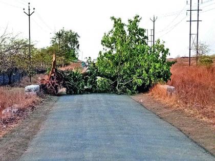 Road closed by dropping trees | झाडे टाकून रस्ता केला बंद