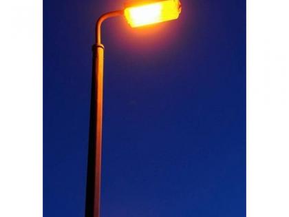 Government's decision to pay for street lights | पथदीपांचे देयके सरकारने भरण्याचा ठराव