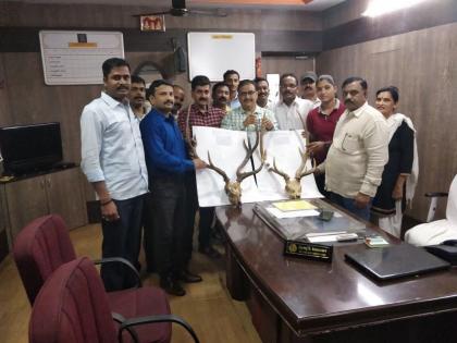 In the thieves of Thakkar police station for sale of rare sensitive horns in Thane | ठाण्यात दुर्मिळ सांबाराची शिंगे विक्रीसाठी आलेला तस्कर पोलिसांच्या जाळ्यात