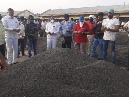 Record price of sunflower in Pachora market committee! | पाचोरा बाजार समितीत सूर्यफुलास विक्रमी भाव !