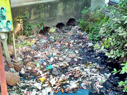 Cleanliness of the city of Kolandanda | स्वच्छ शहराला पालिकेचा कोलदांडा