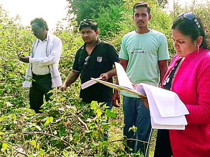 The look of the survey during the time of immediate help | तत्काळ मदतीच्या काळात सर्वेक्षणाचा देखावा