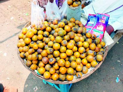 Munia, a treasure trove of wild fruits in Magarkasa reserve forest | मुनिया, माेगरकसा राखीव जंगलात रानमेव्याचा खजिना