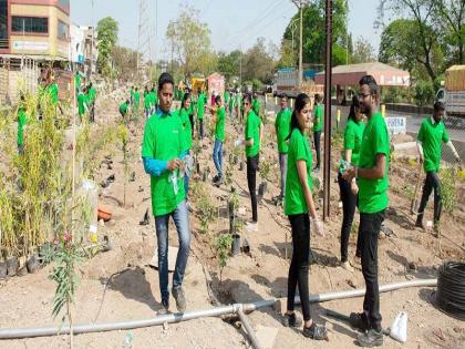  Half a thousand plantations in a single day | एकाच दिवसात दीड हजार वृक्षारोपण