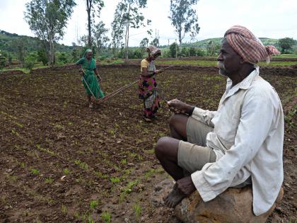 The first fortnight of July dry for the second year in a row | सलग दुसऱ्या वर्षी जुलैचा पहिला पंधरवडा कोरडा