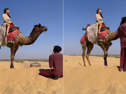 Shehnaaz Gill riding camel actress shouting as animal moves users laughing | Video: उंटावर बसली होती शहनाज गिल, मग झालं असं काही बघून फॅन्स हसून हसून झाले लोटपोट