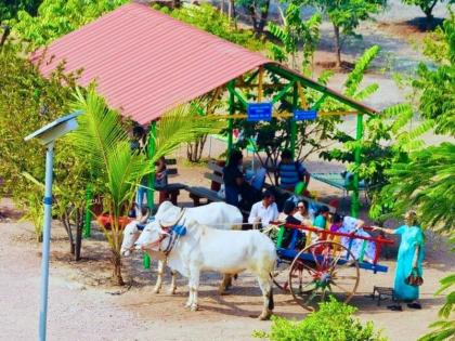 20,000 trees will be planted on the land of Solapur Municipal Corporation at Kegaon | सोलापूर महापालिकेच्या केगाव येथील जागेवर २० हजार झाडे लावणार