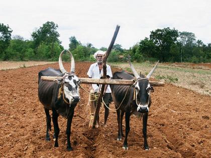 How to farm due to increase in farm labor rates? | शेतमजुरांचे दर वाढल्याने शेती करायची कशी?