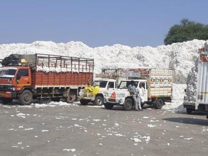 Keep the cotton shopping simple, otherwise the collector will agitate before the office | कापूस खरेदी सुरळीत ठेवा, अन्यथा कलेक्टर कचेरीसमोर आंदोलन करणार