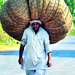 The photo of the store is the top in the state | भंडाऱ्याचे छायाचित्र राज्यात अव्वल