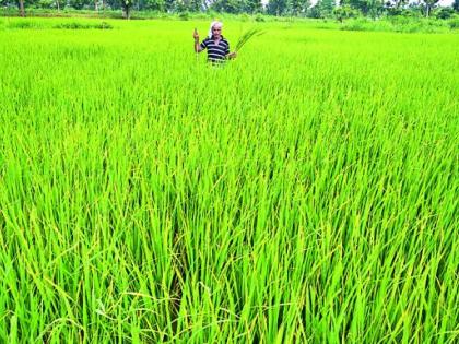 The worry of farmers increased | शेतकऱ्यांची चिंता वाढली