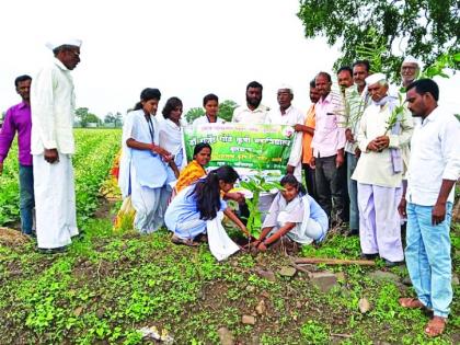  Agricultural girl student Tree Plantation | कृषी कन्यांनी केले वृक्षारोपण